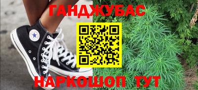 гашик Новозыбков