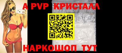 гашик Новозыбков