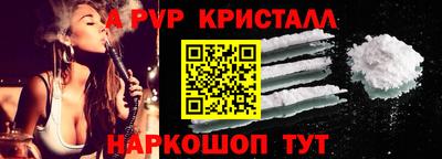 гашик Новозыбков