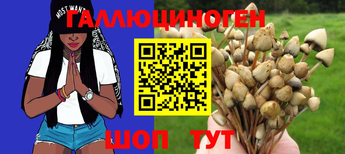 Галлюциногенные грибы прущие грибы  Псилоцибиновые грибы Magic Shrooms  Ставрополь  Вход с VPN 